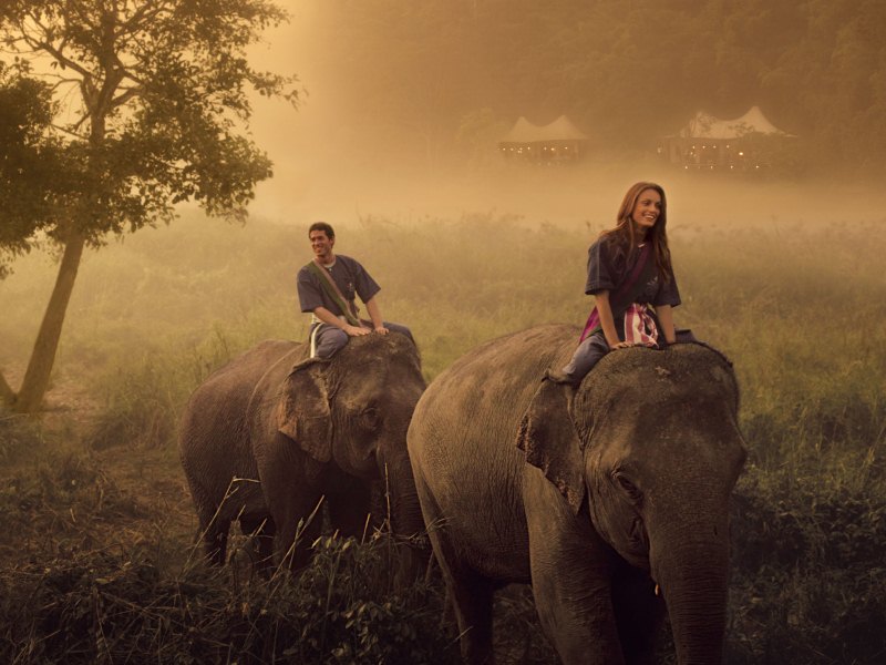 RED ELEPHANT honeymoon