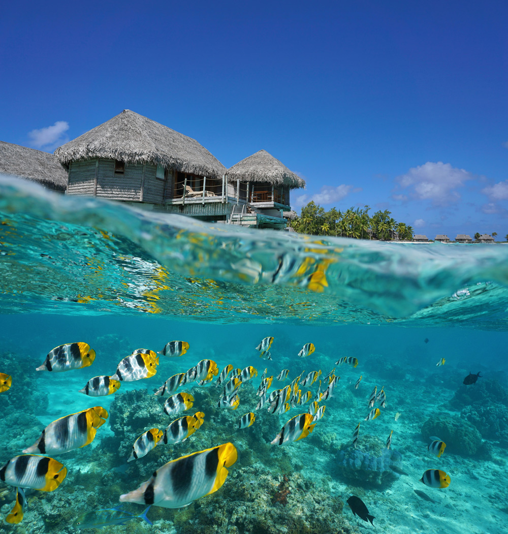 FRENCH POLYNESIA