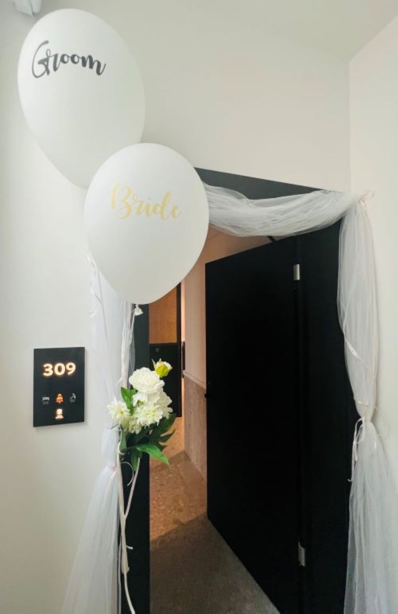 11 door balloon bln 800