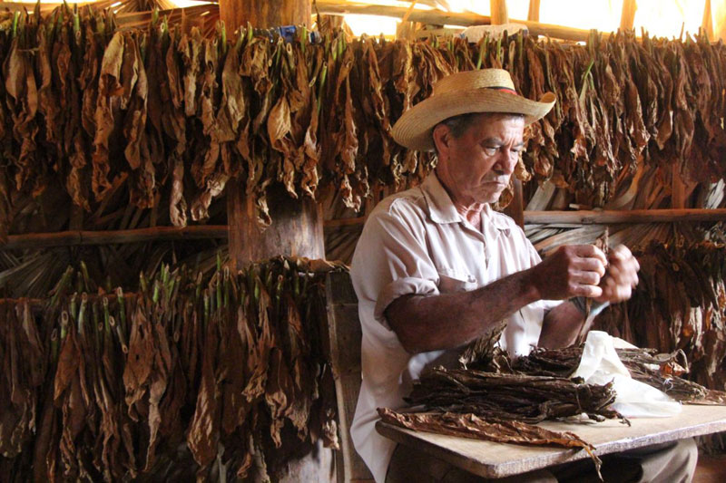 CUBAN CIGARS