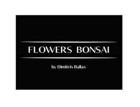 Flowers Bonsai