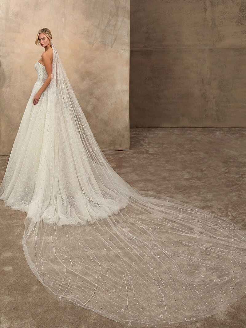 Demetrios 1557 5 1