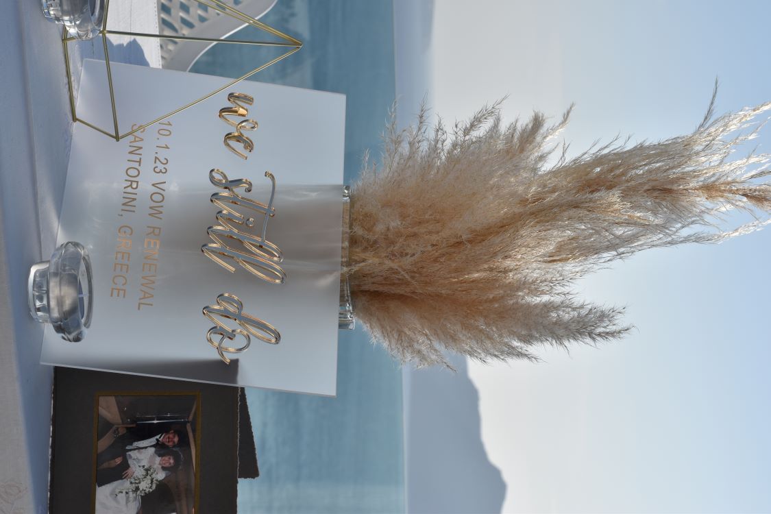 pj 10 pampas detail 750