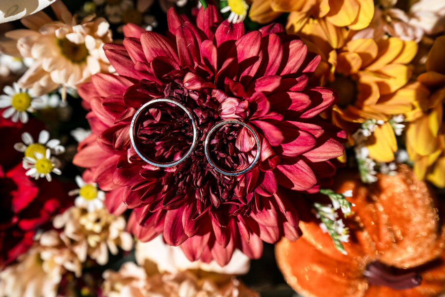 Konstantinos Katerina 0108