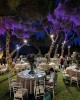 Atene Catering