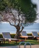 Cretan Dream Resort & Spa