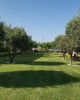 Cretan Dream Resort & Spa