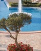 Cretan Dream Resort & Spa