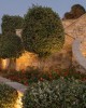 Cretan Dream Resort & Spa