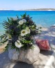 Dianthos Paros