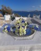 Dianthos Paros
