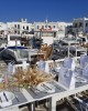 Dianthos Paros