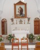 Dianthos Paros