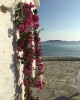 Kivotos Andros