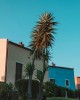 Chara Houses: Απολαύστε ένα full wedding concept στην παραμυθένια Μάνη.