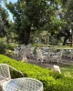 King Saron Hotel