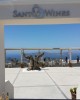 Santo Wines