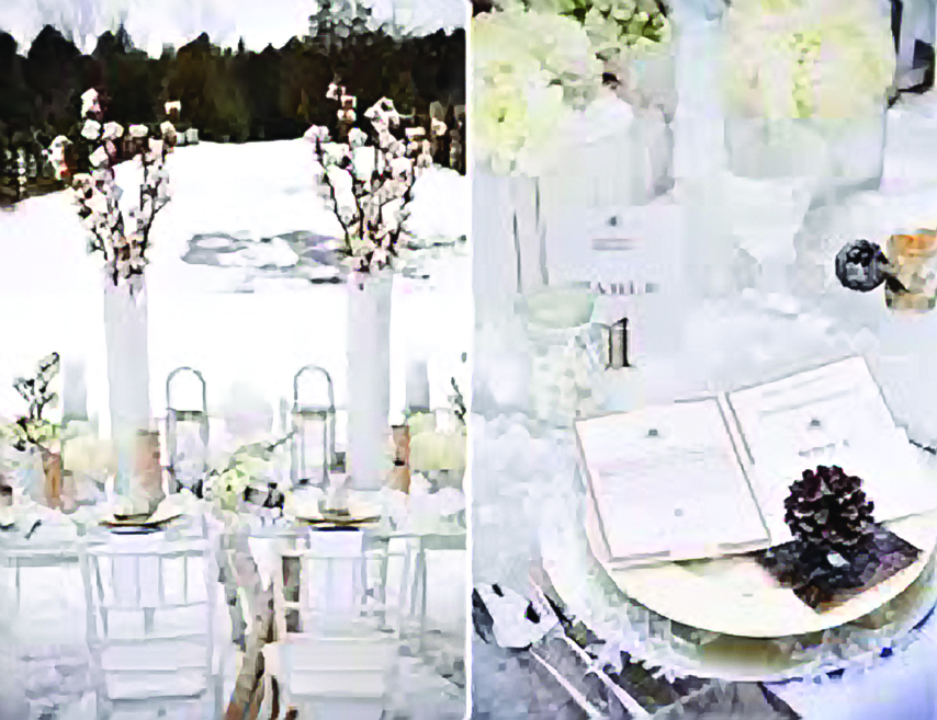 winter reception imagescnfzpfhb