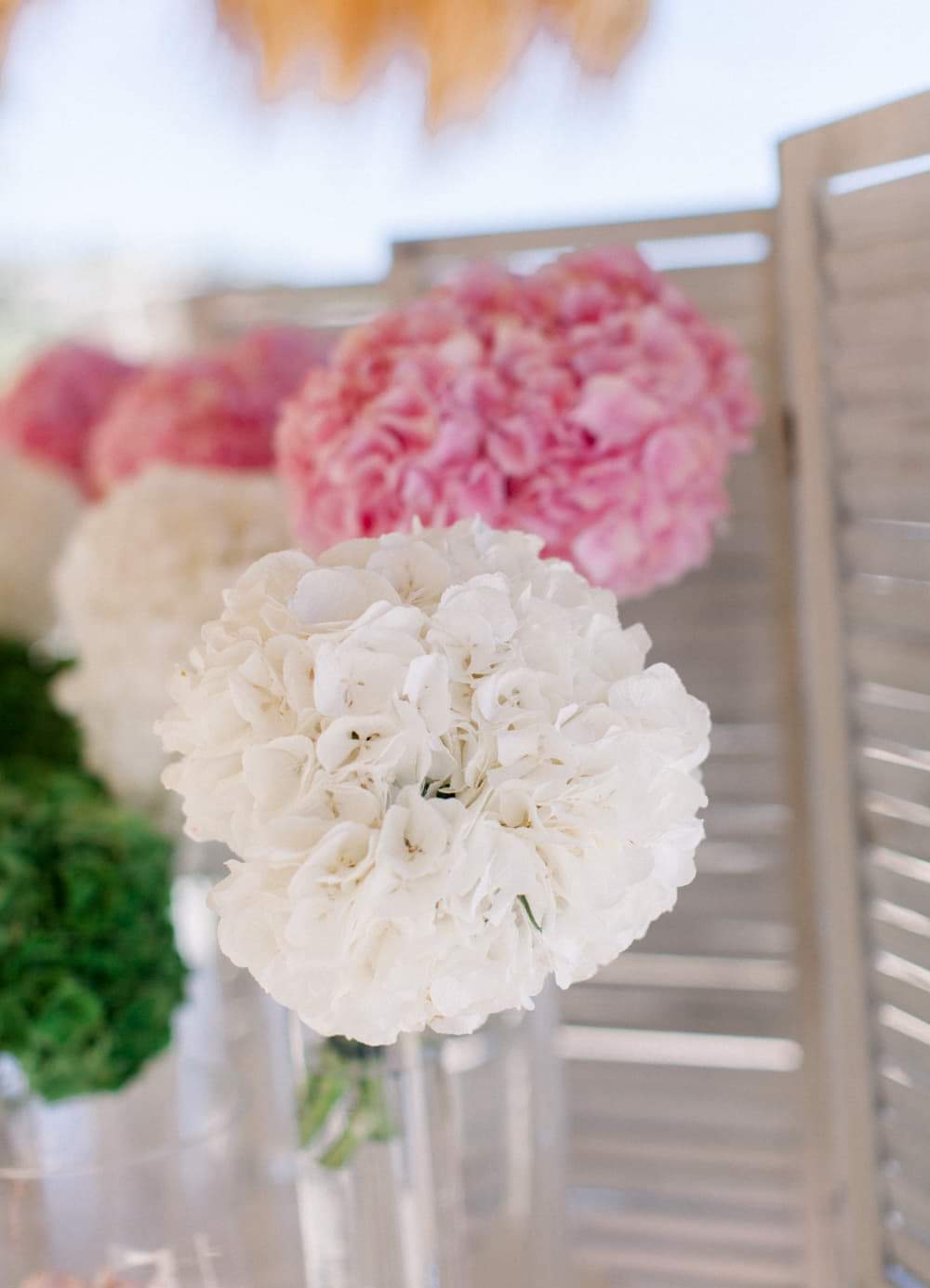 thiveou victoria baptism floral detail on chair received 314266235892640